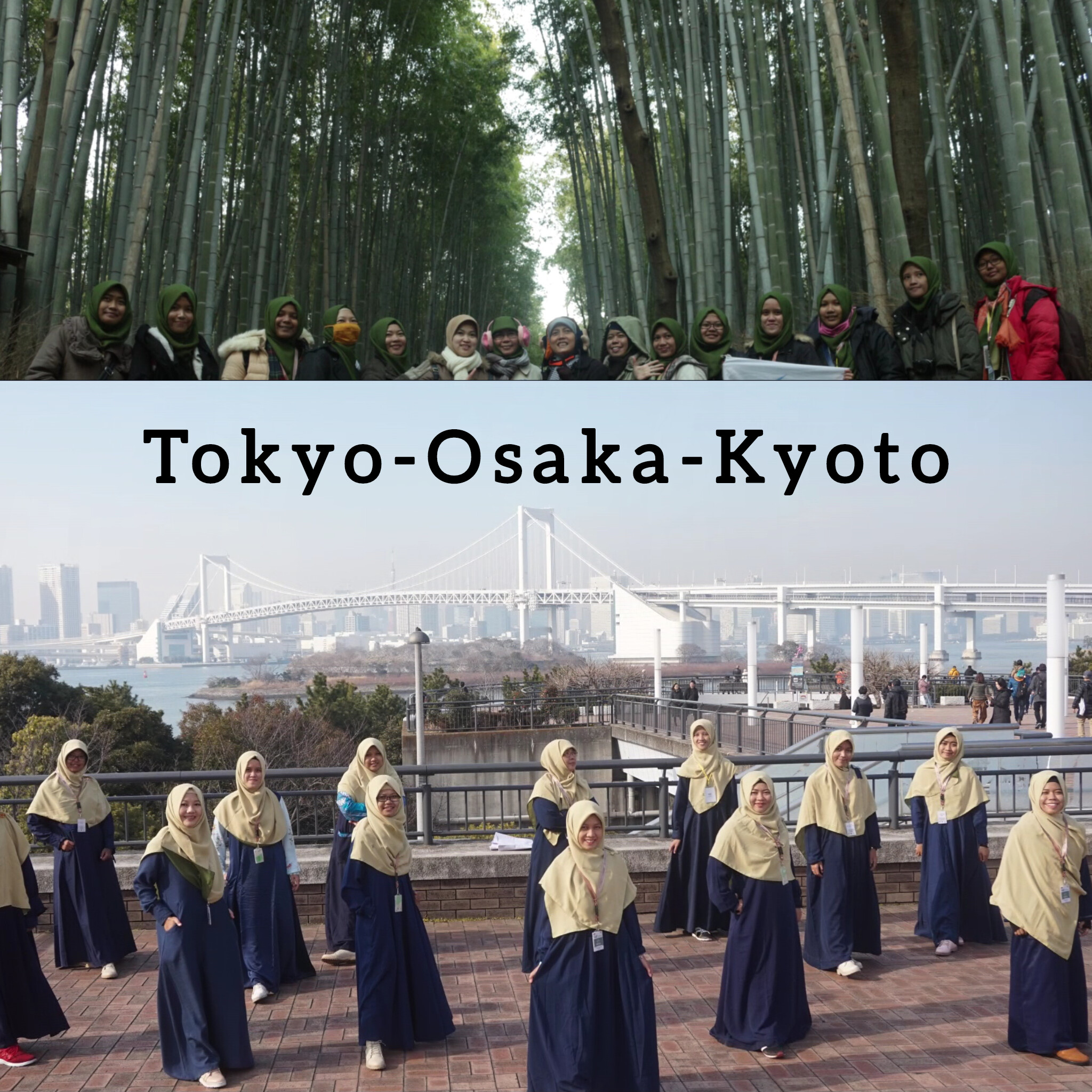 InShot_20251012_230346746